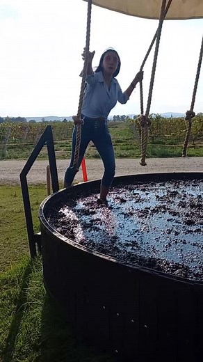 #novela #cuandomeenamoro