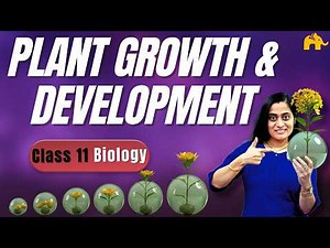 Plant Growth & Development Class 11 Biology NCERT Chapter13 | CBSE NEET Basics | Full Chapter