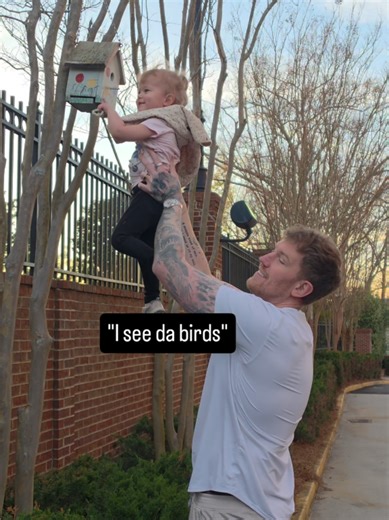 Tall Family Hacks for High Nest Exploration