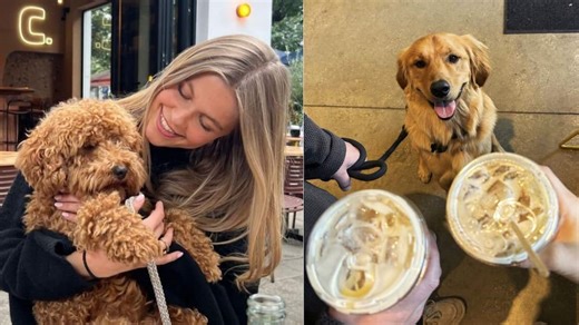 Un café dog-friendly a ouvert à Montréal et c’est le nouvel endroit préféré de vos chiens