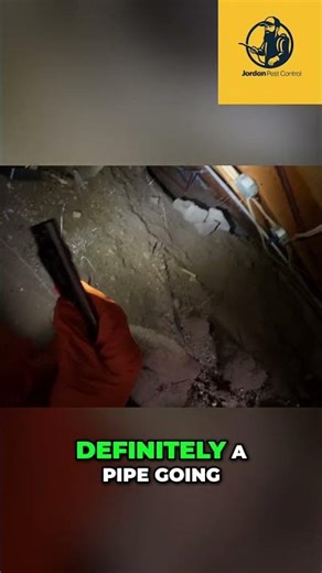 Mice Droppings & Pipe Problems: Crawl Space Inspection Secrets Revealed! #shorts