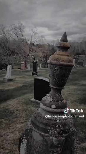 Ashley Drake on TikTok