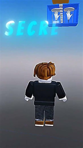 Roblox Secret Wall #roblox #viral