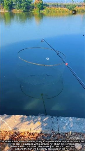 Farmers Catch Fish with Simple Tools