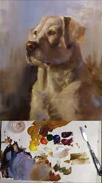 Background Colors Yellow Lab Portrait