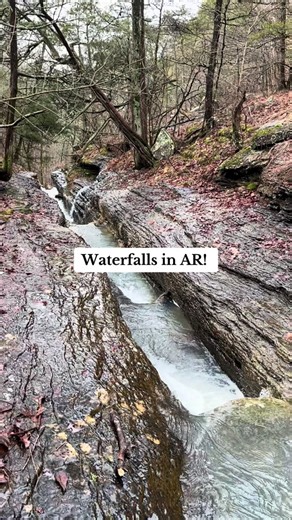 Discovering Lizard Log Falls: A Hidden Jewel in Arkansas