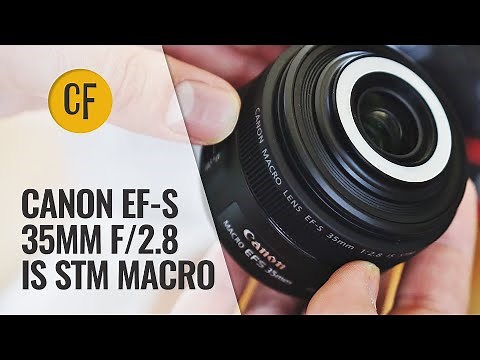 Canon EF-S 35mm f/2.8 IS STM Macro lens review with samples