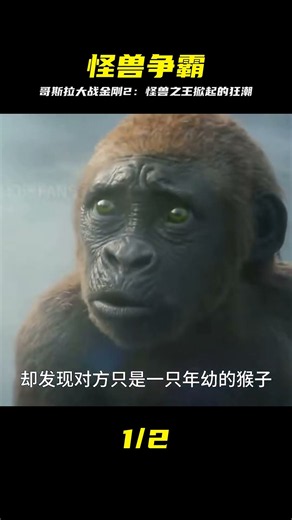 2024最新超燃怪獸大片《哥斯拉大戰金剛2》，它來了！ #哥斯拉 #金刚 #怪兽电影 #动作大片 #2024 #视觉盛宴