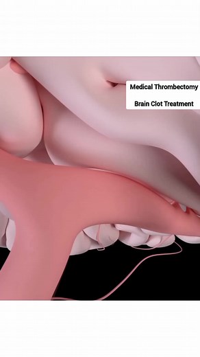 The World Of Biology on Reels