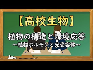 高校生物【植物の構造と環境応答〜植物ホルモンと光受容体〜】オンラインで高校授業