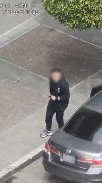 Suspects Tracked and Arrested One Day After Violent Pokémon Card Robbery