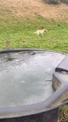 Harv’s hot tub out of order