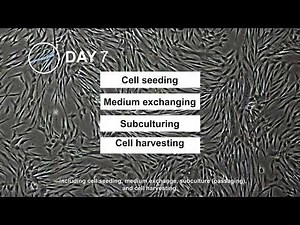 Intelligent Automation Technology for Cell Production