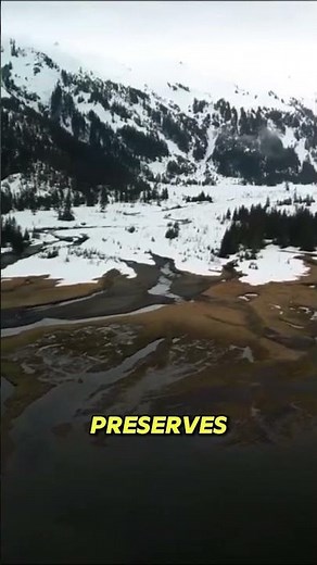 The Only US National Park With ZERO Roads or Trails 🏔️❌