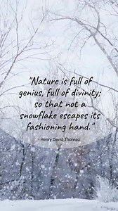 Post description: Snow falling in the woods. Quote from Henry David Thoreau. "Nature is full of genius, full of divinity; so that not a snowflake escapes its fashioning hand." #snowfall #saveourwinters #naturequote Credit to @projectdrawdown For the snow lovers out there! 🩵 Share far and wide if snow is something that brings you comfort. ❄️❄️❄️ | Penny Yaffe Krakow