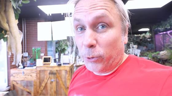 How one enclosure build highlights the challenges of keeping albino reptiles