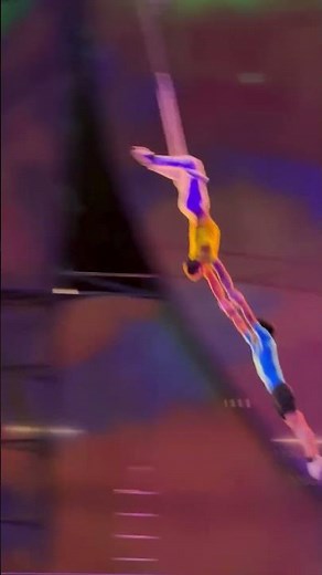 they said: dream 👏 team 👏 #Mystere | Cirque du Soleil