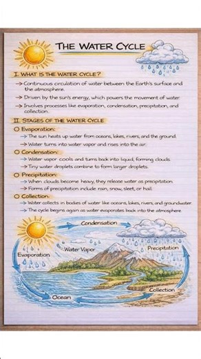 Water Cycle Diagram & Notes 🌦️ | Easy Explanation for Exams #handwrittennotes #medicalstudents