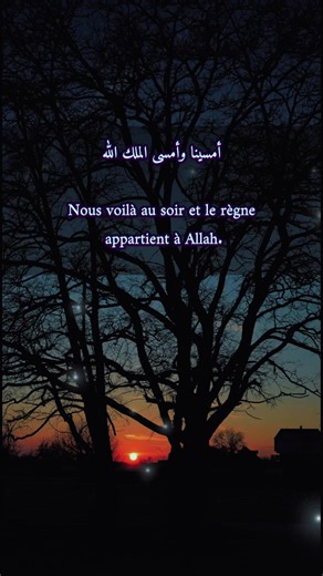 Invocation du soir #quran #rappels_islam #invocationislam Abonne-toi et partage 🙏🏾