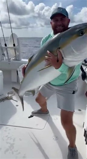 Trophy Amberjack 360 Reveal