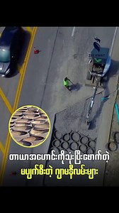 84K views · 2.2K reactions | စျေးကောင်းတဲ့ တာယာအဟောင်း #zeekwatentertainment | Zee Kwat Entertainment | Facebook