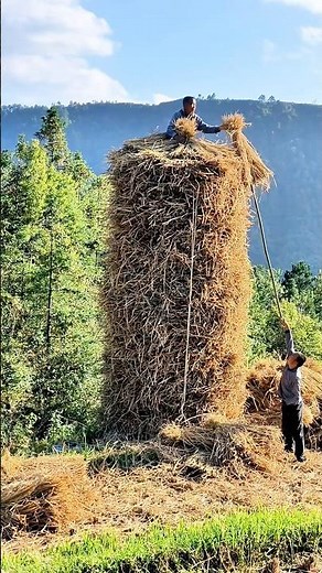 Traditional Straw Stacking — Building a Tower by Hand!