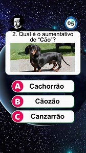152K views · 549 reactions | Liberte sua curiosidade com nosso Quiz abrangente de Conhecimentos Gerais! 邏 Teste suas habilidades em diversas áreas e compartilhe com amigos para espalhar o gosto pelo saber. Deixe seu like se adorou desafiar sua mente!  #quiz #desafios #conhecimentosgerais #curiosidades #viral | Quizz Albert | Facebook