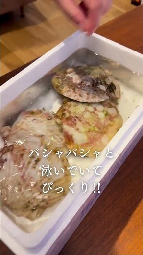 ふるさと納税で食育!?岩手県釜石市の泳ぐホタテ#ふるさとチョイス #ふるさと納税