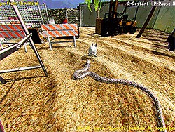 Python Snake Simulator | Play Now Online for Free - Y8.com
