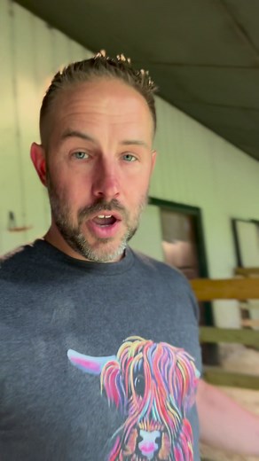 28K views · 1.1K reactions | Miley Morning Feeding 殺 #cutecows #fluffy #cow #fluffycows #grasspuppies #cuteanimals #farmlife | Fluffy Feather Farm | Facebook