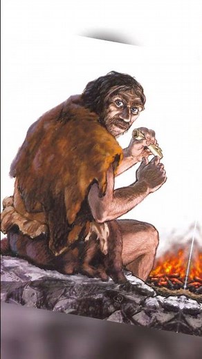 The oldest instrument was made by Neanderthals?