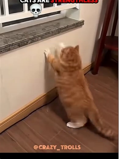 Screen Recording 2025-12-11 111422