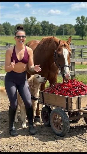 Woman and dog excited to see horse eating chili peppers #horse #nature #love #anima