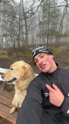 Laufen mit meinem Golden Retriever: Ein unvergessliches Vlog-Erlebnis