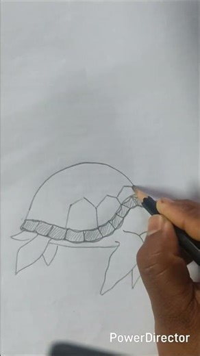 Tortoise drawing || tortoise drawing|| easy tutorial #drawing #art #trending #tortoise #turtle