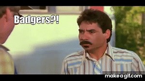 We Don't Need No Stinking Badgers! on Make a GIF