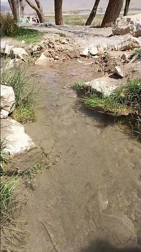 Nature's Miracle: Bubbling Spring Emerging from the Earth
