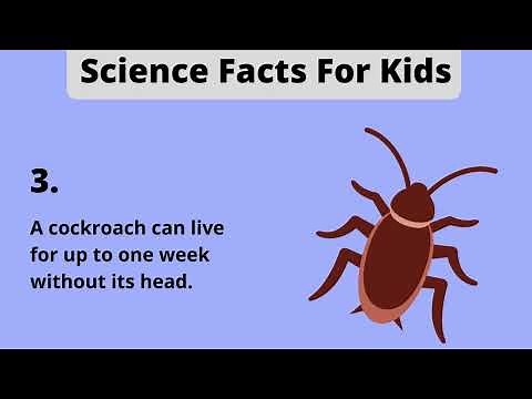Science Facts For Kids