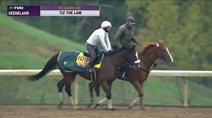 14K views · 924 reactions | Get a glimpse of TIZ THE LAW on track this morning for Trainer Barclay Tagg & Sackatoga Stable! Gabby Gaudet tells us more from Keeneland Racing: Breakfast at the Breeders' Cup continues now on TVG tune-in! #WinStarFarm | FanDuel Racing | Facebook