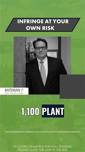 Understanding the Different Types of Patents