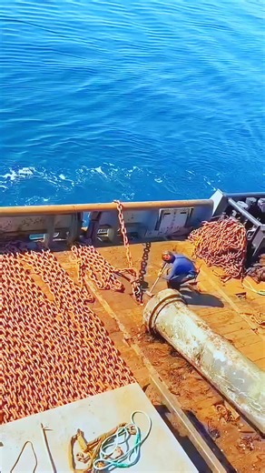 Exploring the Dangers of Sealife: A Deep Dive