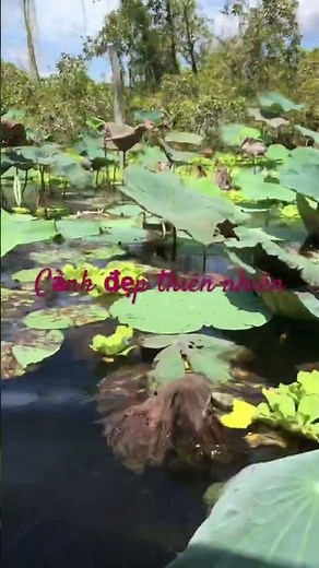 Canh dep thiên nhiên#miềntây