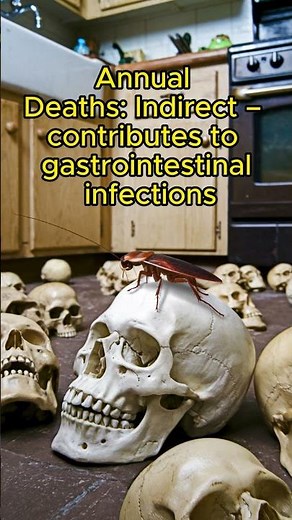 10 Most Dangerous Insects in Africa | Deadly Before & After Scenes! #AnimalComparisons #AnimalBattle