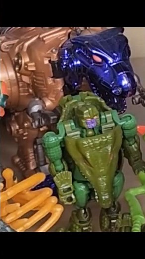 Beast Wars!! - 90's Beast Wars Transformers Collection on Display - Hasbro / Kenner!