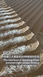 1.7K views · 83 reactions | With an average throughput of over 100,000 tonnes of water per second and other influencing factors, Qiantang River in E China's Zhejiang Province has the reputation of "the most spectacular tidal bore in the world." Check out this video to see some of the unique forms of the tidal bores. | China News 中国新闻网 | Facebook