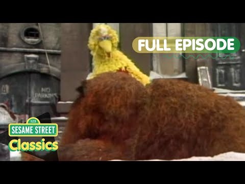 Sesame Street is Frozen | Sesame Street Classics Full Episode