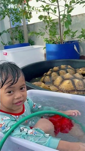 Kids Taking Care of a Giant Sulcata | Family Love 🥰
