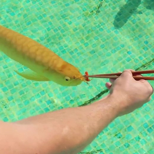 15K views · 76 reactions | LOL! | RAWWFishing | Facebook