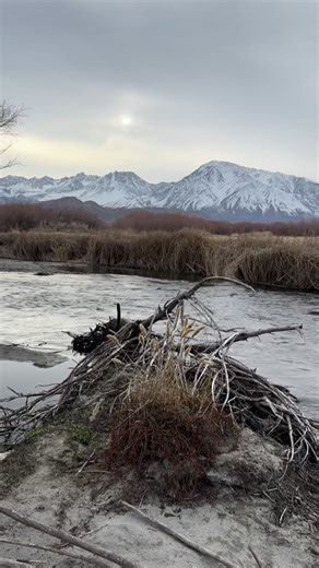 Fred A. Rowe on Instagram: "Euro nymphing Eastern Sierra waters. Taught Christoph Zimny how to Euro nymph. Started the day off with a lecture on euro nymphing techniques discussing rigging, leaders, tippets, flies, controlling weight with the flies, knots, making a leader and tippet. Then off to learn how to lead the flies, take in slack and control the depth with rod elevation on the water. It takes time to go from a drag free drift type of fly fishing to learning to lead the flies. I taught hi