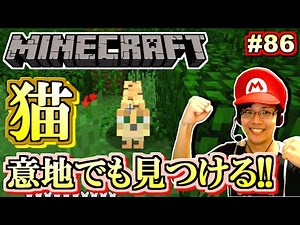 【マインクラフト】マジ悔しいから猫探す！マイクラ実況！Part86 【MOTTYのMinecraft実況】